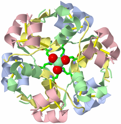 Image Biol. Unit 1 - sites