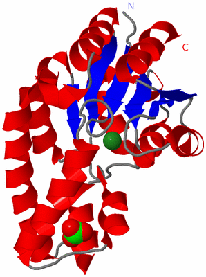 Image Asym./Biol. Unit