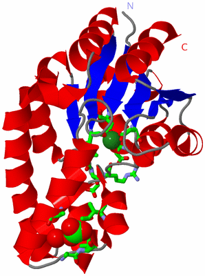 Image Asym./Biol. Unit - sites