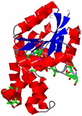 Image Asym./Biol. Unit - sites