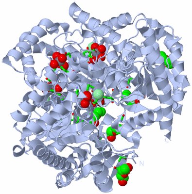 Image Biol. Unit 1 - sites