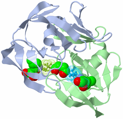 Image Biological Unit 1