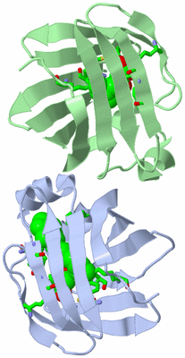 Image Asym. Unit - sites