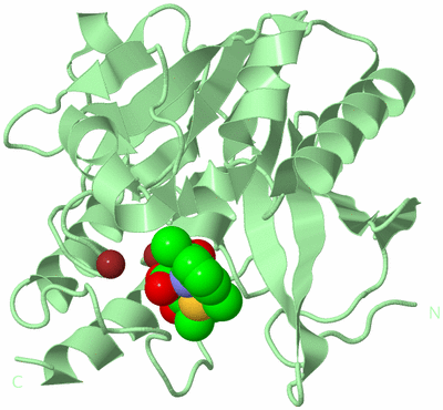 Image Biological Unit 2