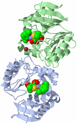 Image Biological Unit 3