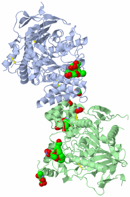 Image Asym./Biol. Unit