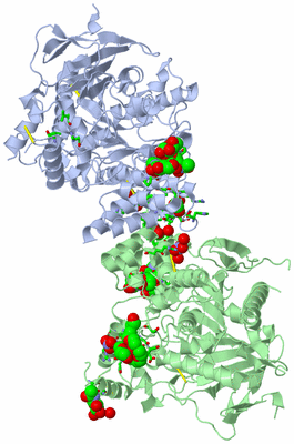 Image Asym./Biol. Unit - sites