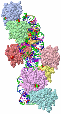 Image Asym./Biol. Unit