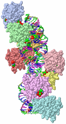 Image Asym./Biol. Unit - sites