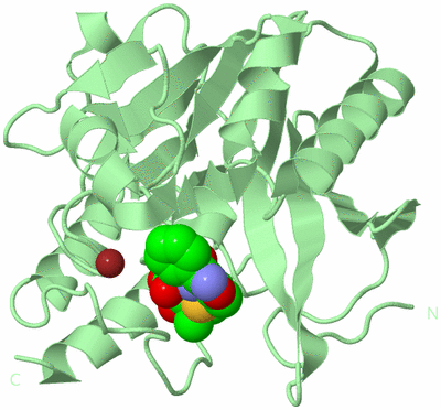 Image Biological Unit 2