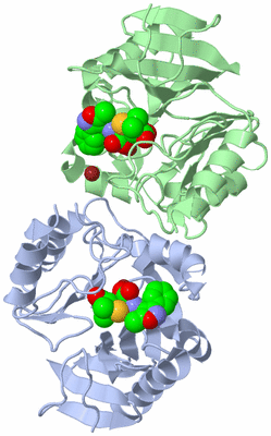 Image Biological Unit 3