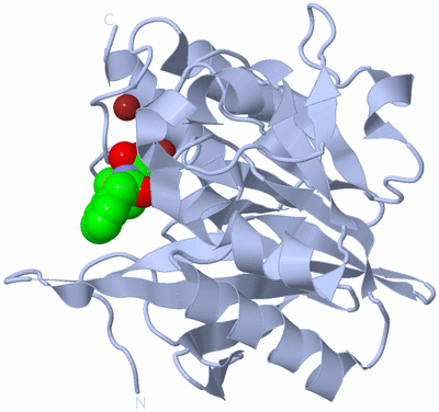 Image Biological Unit 1