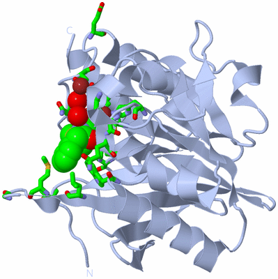 Image Biol. Unit 1 - sites