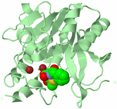 Image Biological Unit 2