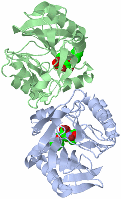 Image Biological Unit 3