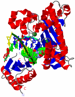 Image Asym./Biol. Unit