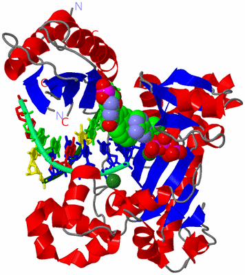 Image Asym./Biol. Unit