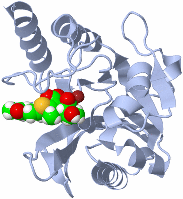 Image Biological Unit 1