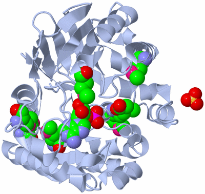 Image Biological Unit 1