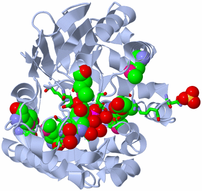 Image Biol. Unit 1 - sites