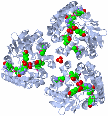 Image Biological Unit 2