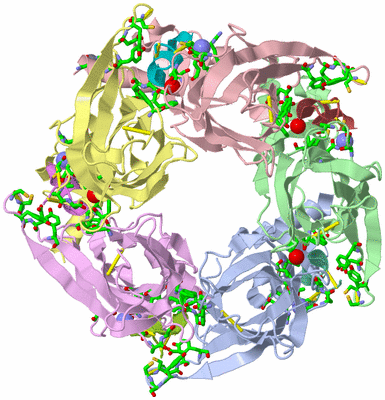 Image Asym./Biol. Unit - sites