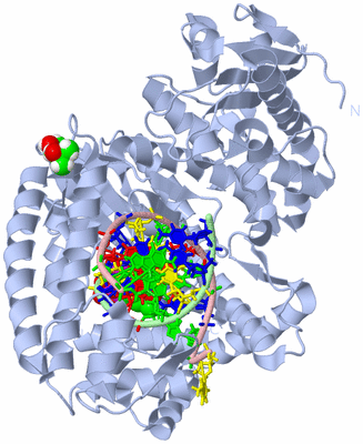 Image Biological Unit 1