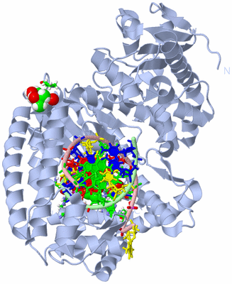 Image Biol. Unit 1 - sites