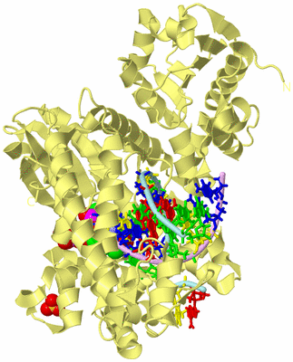 Image Biological Unit 2