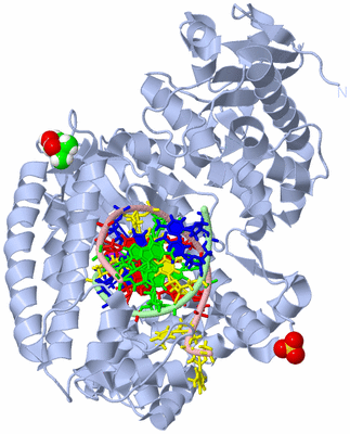 Image Biological Unit 1