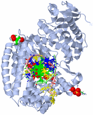 Image Biol. Unit 1 - sites