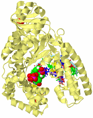 Image Biological Unit 2