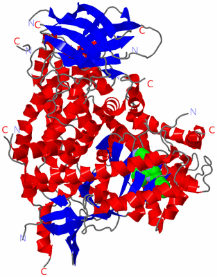 Image Asym./Biol. Unit