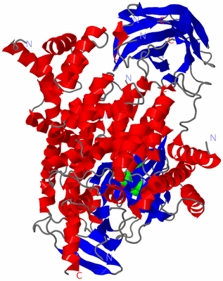 Image Asym./Biol. Unit