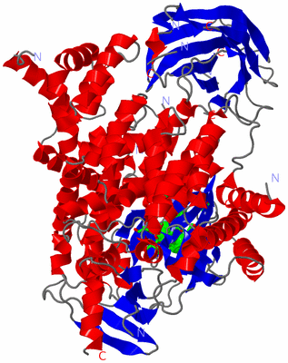 Image Asym./Biol. Unit - sites