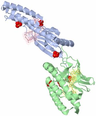 Image Biological Unit 3