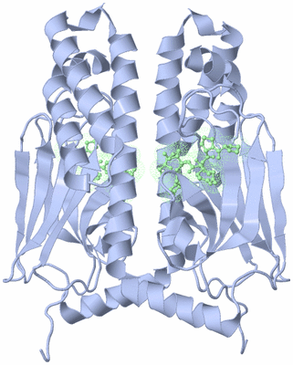 Image Biological Unit 3