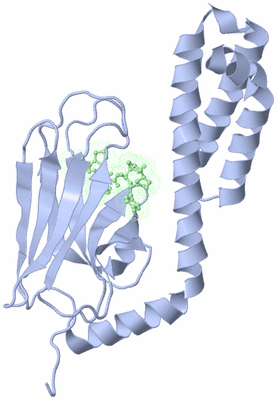 Image Biological Unit 4