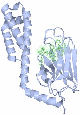 Image Biological Unit 4