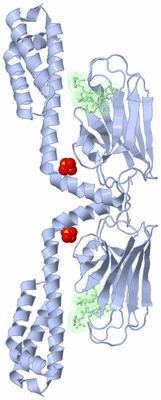 Image Biological Unit 3