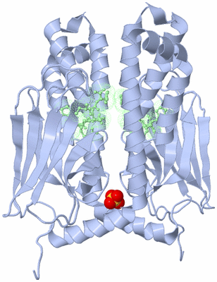 Image Biological Unit 4