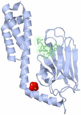 Image Biological Unit 5