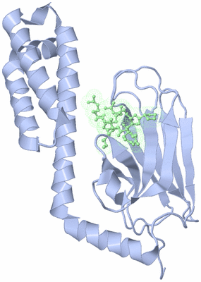 Image Biological Unit 4