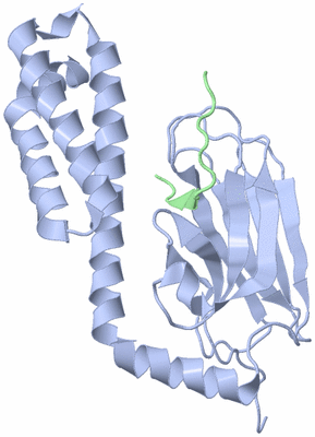 Image Biological Unit 4