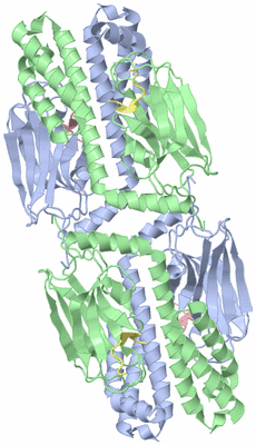 Image Biological Unit 1