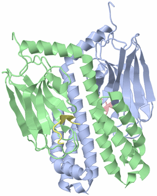 Image Biological Unit 3