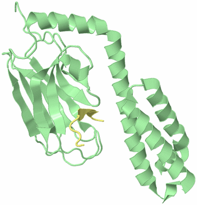 Image Biological Unit 5