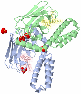 Image Biological Unit 1