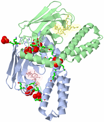 Image Biol. Unit 1 - sites