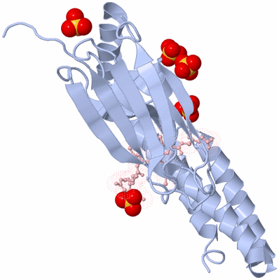 Image Biological Unit 3